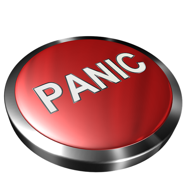 Improving vehicle safety with Panic button